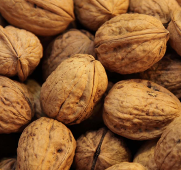 Walnuts in Shell $6.99/lb