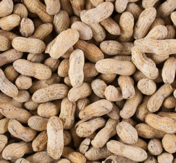 Whole Peanuts $4.99/lb