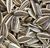 Roasted Unsalted Sunflower Seeds $5.99/lb