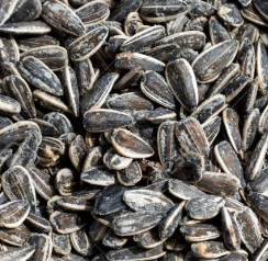 Sunflower Seeds Roasted and Salted $5.99/lb