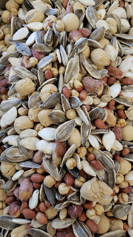 Israeli Mixed Nuts Roasted Salted (Kabukim, Peanuts, Sunflower Seeds, Pumpkin Seeds, Roasted Chickpeas) $6.99/lb