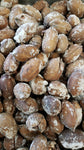 Whole Pecans (in shell) Roasted Salted $11.99/lb